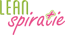 Logo Leanspiratie